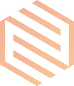 IT Expert Consultation